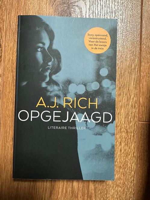 Opgejaagd - AJ Rich, Boeken, Thrillers, Zo goed als nieuw, Ophalen of Verzenden