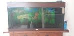 Juwel aquarium 100x40x50 lbh, Dieren en Toebehoren, Vissen | Aquaria en Toebehoren, Ophalen, Gebruikt