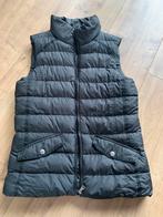 Nette bodywarmer mt 38, Kleding | Dames, Bodywarmers, Maat 38/40 (M), Jazlyn, Zo goed als nieuw, Zwart