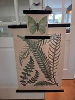 Schoolplaat Varens & Vlinder, Ophalen of Verzenden, Natuur en Biologie