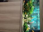 Juwel 125, Dieren en Toebehoren, Vissen | Aquaria en Toebehoren, Ophalen, Gebruikt, Gevuld zoetwateraquarium