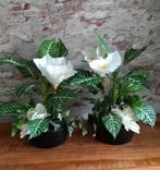 Kunstbloemen set in zwarte pot, Ophalen of Verzenden, Nieuw, Binnen