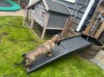 Honden loop plank, Dieren en Toebehoren, Honden-accessoires, Ophalen, Gebruikt