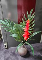 Vaas met boeket met grote bladeren en een bromelia, Ophalen