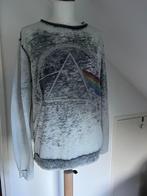 Trui of lange mouw lichtgrijs Pink Floyd maat 38, Kleding | Dames, Ophalen of Verzenden, Gedragen, Maat 38/40 (M), Grijs