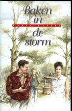 Baken in de storm - Karin Peters {0957}, Boeken, Streekboeken en Streekromans, Ophalen of Verzenden, Gelezen, Noord-Brabant