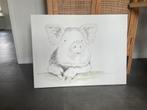 Varkentje op Canvas, Ophalen
