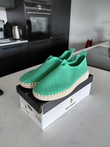 Nieuwe Hush Puppies Mt 42-43 beschikbaar voor biedingen