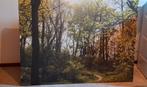 Mooi Canvas van bos, natuur, Ophalen, Zo goed als nieuw