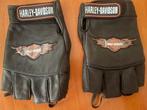 Harley Davidson leder handschoenen, Verzenden, Harley Davidson, Nieuw zonder kaartje, Dames
