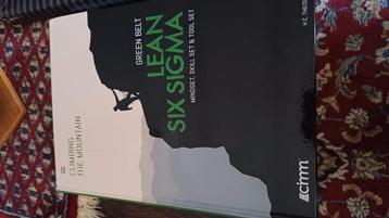 H.C. Theisens - Lean Six Sigma Green Belt beschikbaar voor biedingen