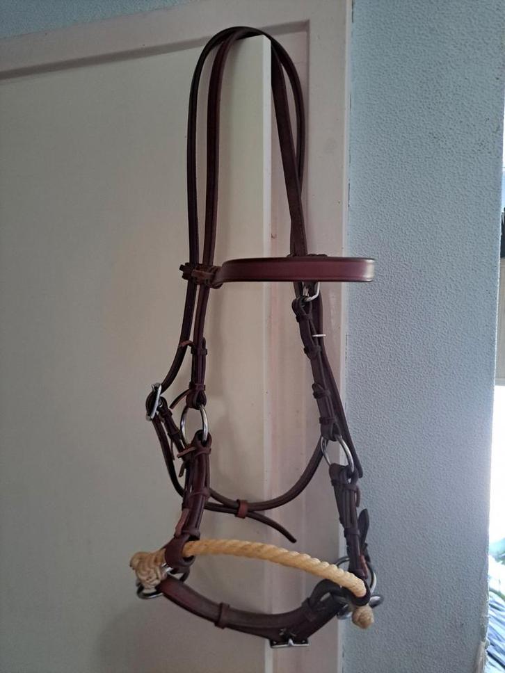 Hoofdstel menwagen en meer voor €250, Dieren en Toebehoren, Paarden en Pony's | Hoofdstellen en Tuigage, Gebruikt, Overige soorten