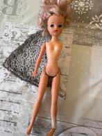 Vintage Sindy Pop met 1 arm, Ophalen of Verzenden, Gebruikt, Barbie