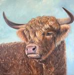 Schilderij schotse hooglander uit eigen atelier, Nieuw, Ophalen of Verzenden, Schilderij, 50 tot 75 cm