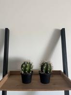 2 kunst cactussen, Huis en Inrichting, Woonaccessoires | Kunstplanten en Kunstbloemen, Ophalen of Verzenden, Zo goed als nieuw