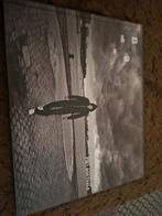 Boek Vlaamse film, Ophalen of Verzenden, Zo goed als nieuw, Overige typen