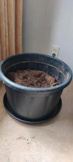 Plantenbak Cementbak 50cm, Doe-het-zelf en Verbouw, Overige Doe-het-zelf en Verbouw, Ophalen, Gebruikt