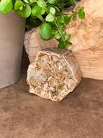 Versteend hout, Ophalen of Verzenden, Mineraal