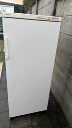 Bosch, Witgoed en Apparatuur, Vriezers en Diepvrieskisten, Ophalen of Verzenden, Zo goed als nieuw, Minder dan 60 cm, 160 cm of meer