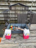 Vogelkooi met toebehoren, Dieren en Toebehoren, Vogels | Hokken en Kooien, Ophalen, Gebruikt, Metaal, Vogelkooi