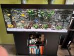 Juwel Rio 450 compleet, Ophalen, Gebruikt, Leeg aquarium