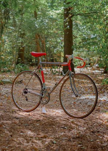 Giant Peloton Lite - 1985 - 58CM beschikbaar voor biedingen