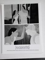 Pocahontas Foto, Disney, Walt Disney Company, 500 South Buena Vista Street, Burbank, California, N/A, Ophalen of Verzenden