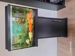 AQUARIUM 60x40x30, Ophalen, Zo goed als nieuw, Leeg aquarium