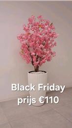 Roze bloesemboom incl pot, Ophalen, Nieuw