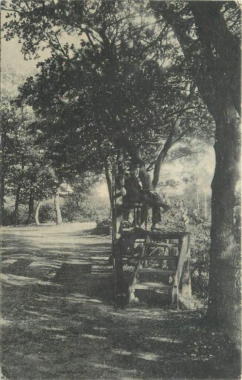 (387-257-027) Oosterbeek Dunobank, Verzamelen, Ansichtkaarten | Nederland, Gelderland, Verzenden