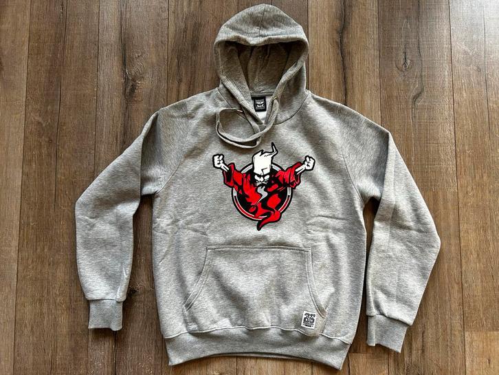Thunderdome Hoodie Grijs - Maat L - 25 Years Of Hardcore, Kleding | Heren, Truien en Vesten, Gedragen, Maat 52/54 (L), Grijs, Verzenden