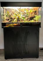 Terrarium/paludarium, Dieren en Toebehoren, Reptielen en Amfibieën | Toebehoren, Ophalen, Zo goed als nieuw, Terrarium of Paludarium