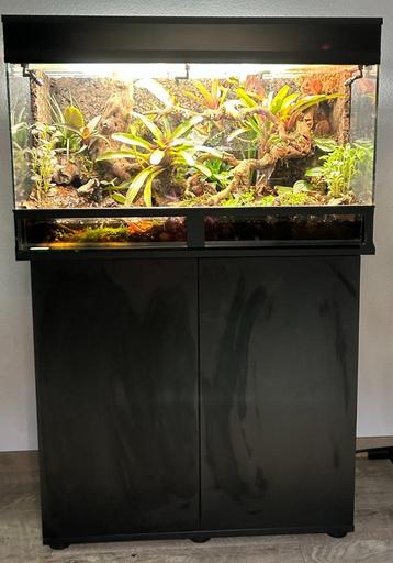 Terrarium/paludarium beschikbaar voor biedingen