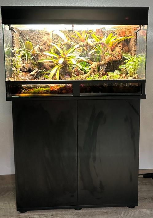 Terrarium/paludarium, Dieren en Toebehoren, Reptielen en Amfibieën | Toebehoren, Zo goed als nieuw, Terrarium of Paludarium, Ophalen