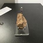 Meteoriet op standaard - 44 gram - zeer uniek, Ophalen of Verzenden