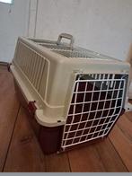 Te koop! Curver poes/katten Transferbox bak., Ophalen, Zo goed als nieuw