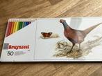 Bruynzeel Kleurpotloden - 50 stuks in blik, Ophalen of Verzenden, Zo goed als nieuw, Potlood of Stift