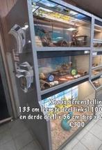 Knaagdier stelling / reptielen terrarium, Dieren en Toebehoren, 110 cm of meer, Ophalen of Verzenden, Zo goed als nieuw, Hamster