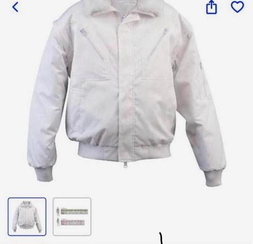 Werkkleding ASSENT Schilders/Stucadors Levin pilotjack, Kleding | Dames, Wintersportkleding, Zo goed als nieuw, Jack, Ophalen of Verzenden