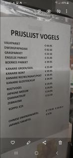 Dwergpapegaaitjes, valkparkieten, Grasparkieten, kanaries,, Dieren en Toebehoren, Vogels | Parkieten en Papegaaien, Meerdere dieren