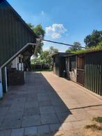 Shetlander stal aangeboden, Dieren en Toebehoren, Stalling en Weidegang, Weidegang