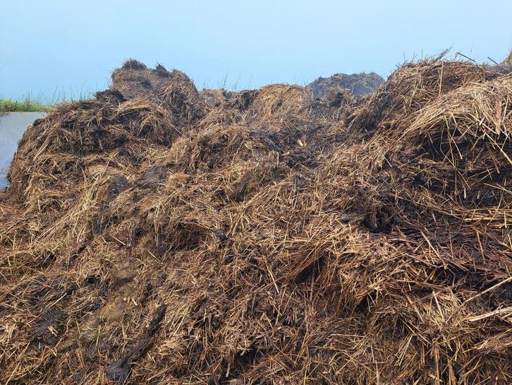 Schapenmest stalmest NPK 2-1-3, Tuin en Terras, Aarde en Mest, Mest, Ophalen