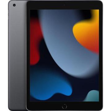 APPLE iPad Garantie! Wifi + Cellular - 64 GB - Spacegrijs A