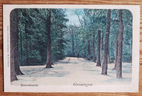 Antiek: Groningen Sterrebosch met fietser, Verzamelen, Ansichtkaarten | Nederland, Groningen, Voor 1920, Verzenden