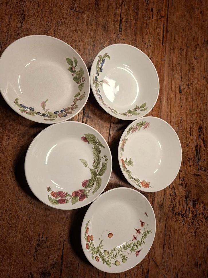 5 Diepe Borden Libelle Marjolein Bastin J&G Meakin, Huis en Inrichting, Keuken | Servies, Ophalen