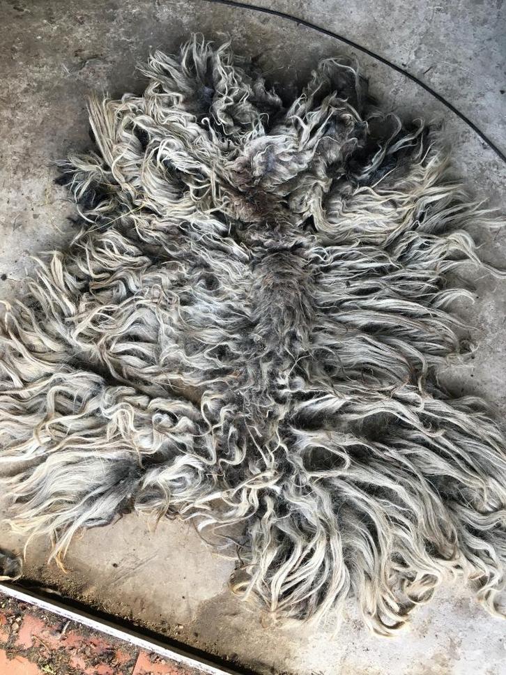 Gratis schapenvacht bij aankoop van 4 heideschaap vachten, Hobby en Vrije tijd, Vilt, Nieuw, Figuurtje(s), Ophalen of Verzenden