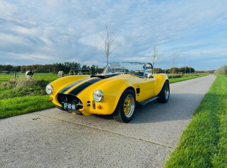 AC Cobra - Ford Racing V8, 5.0L, 300 PK - Concoursstaat, Auto's, Oldtimers, Particulier, AC, Benzine, Cabriolet, Handgeschakeld