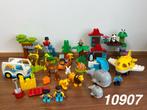 Duplo dieren van de wereld 10907 (compleet) 4, Ophalen of Verzenden, Zo goed als nieuw, Complete set, Duplo