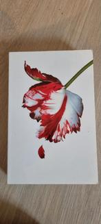 Twilight - New Moon (Stephenie Meyer), Boeken, Ophalen of Verzenden, Gelezen, Stephenie Meyer, Nederland