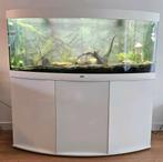 Juwel Vision 450L wit met kast incl. 2xHelialux spectrum LED, Dieren en Toebehoren, Vissen | Aquaria en Toebehoren, Ophalen, Zo goed als nieuw